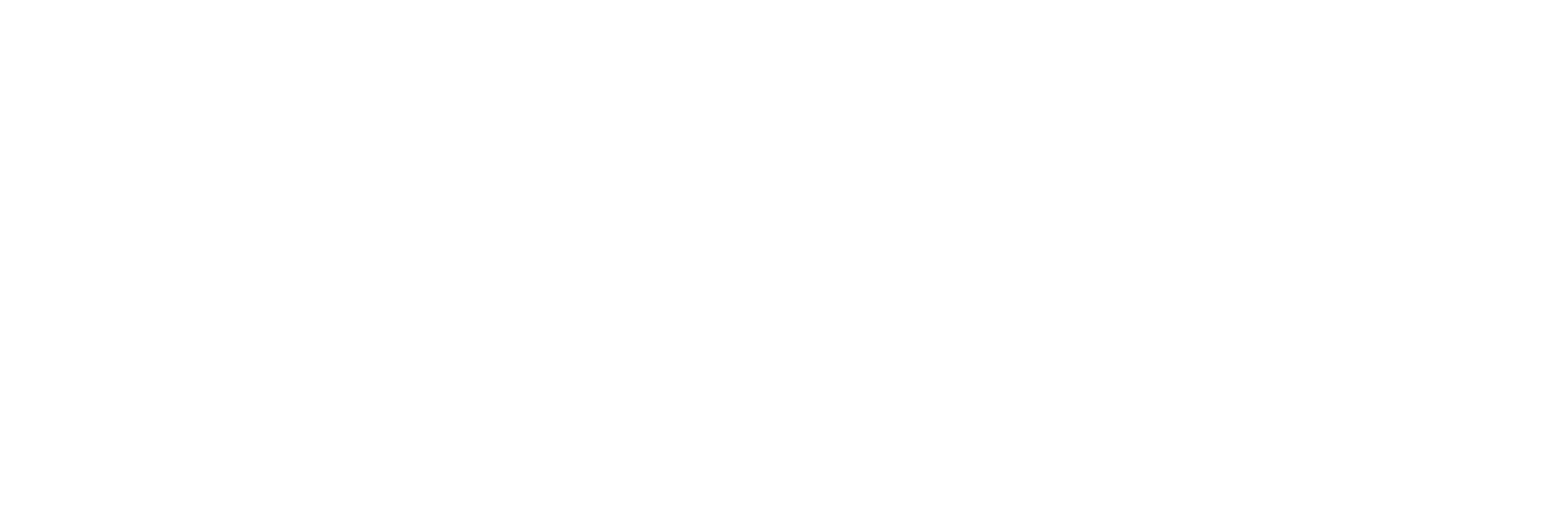 TechnoLovo Logo